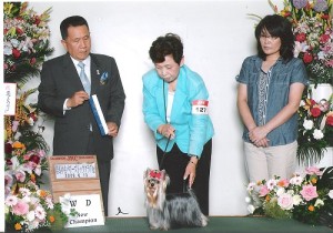 群馬中央パワーズドッグクラブ展
