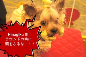 激高！！