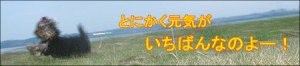 Next