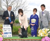 2014.4.5 岐阜愛犬クラブ展：Hakuto