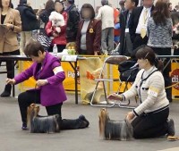 関盛さんと並ぶおばちゃまハンドラー『Ｓさん』