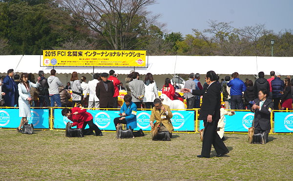 2015FCI北関東インター 圭子さんと