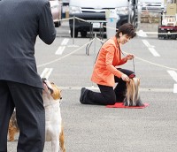 圭子さんとHakuto