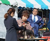 大阪の小橋さん