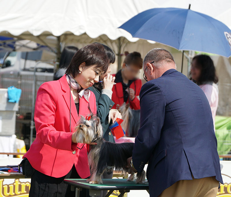 2018FCI北関東インター『Hetty』