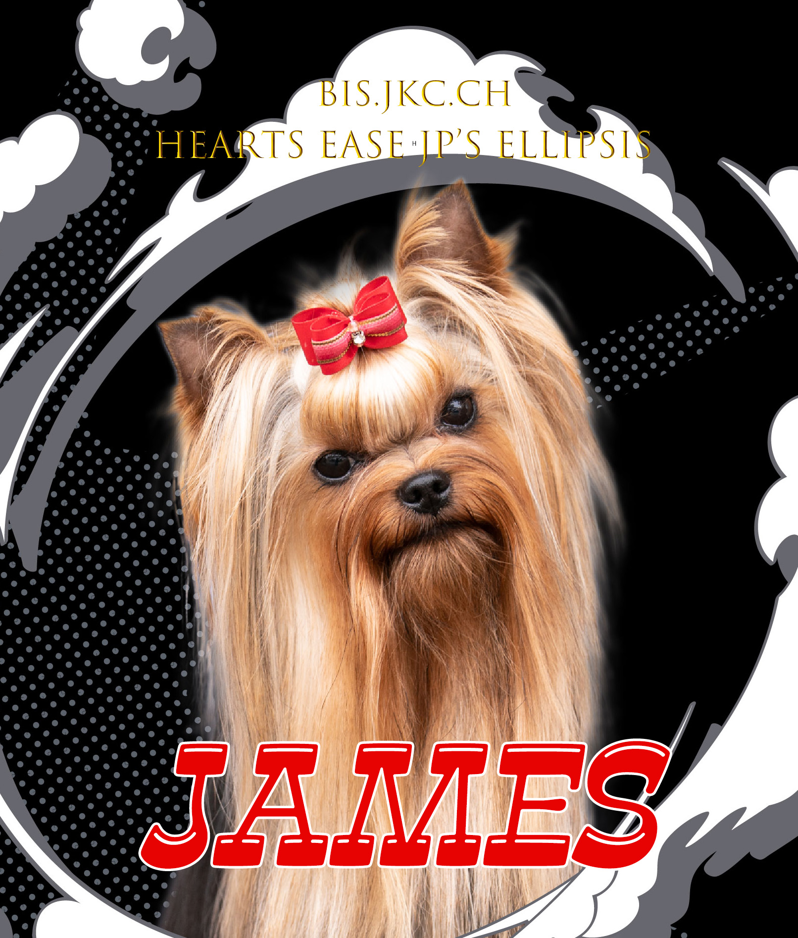 ヨーキー：ヨークシャーテリア専門ブリーダー：Yorkies to Love !